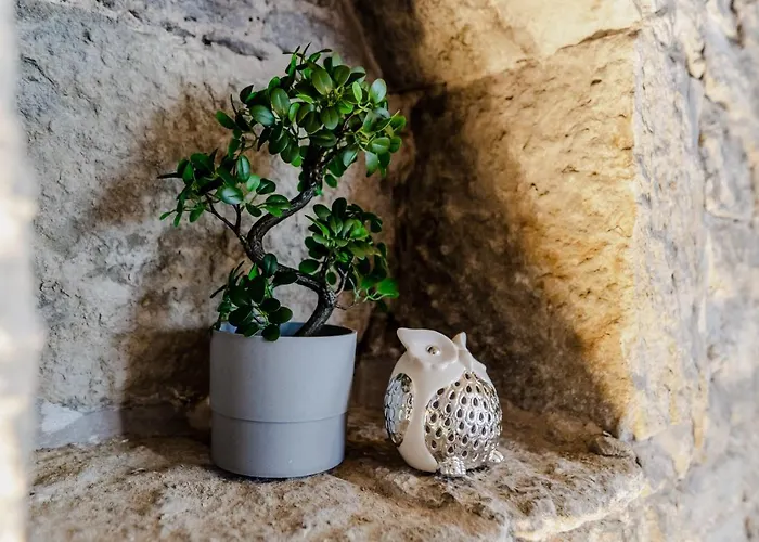 Korter Dream - Old Town